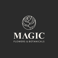 ecuamagic logo