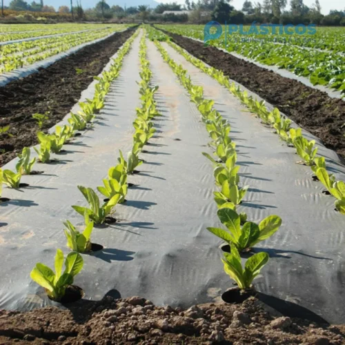 plastico mulch